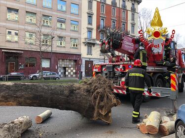 Forti raffiche di vento questa mattina a Milano 1