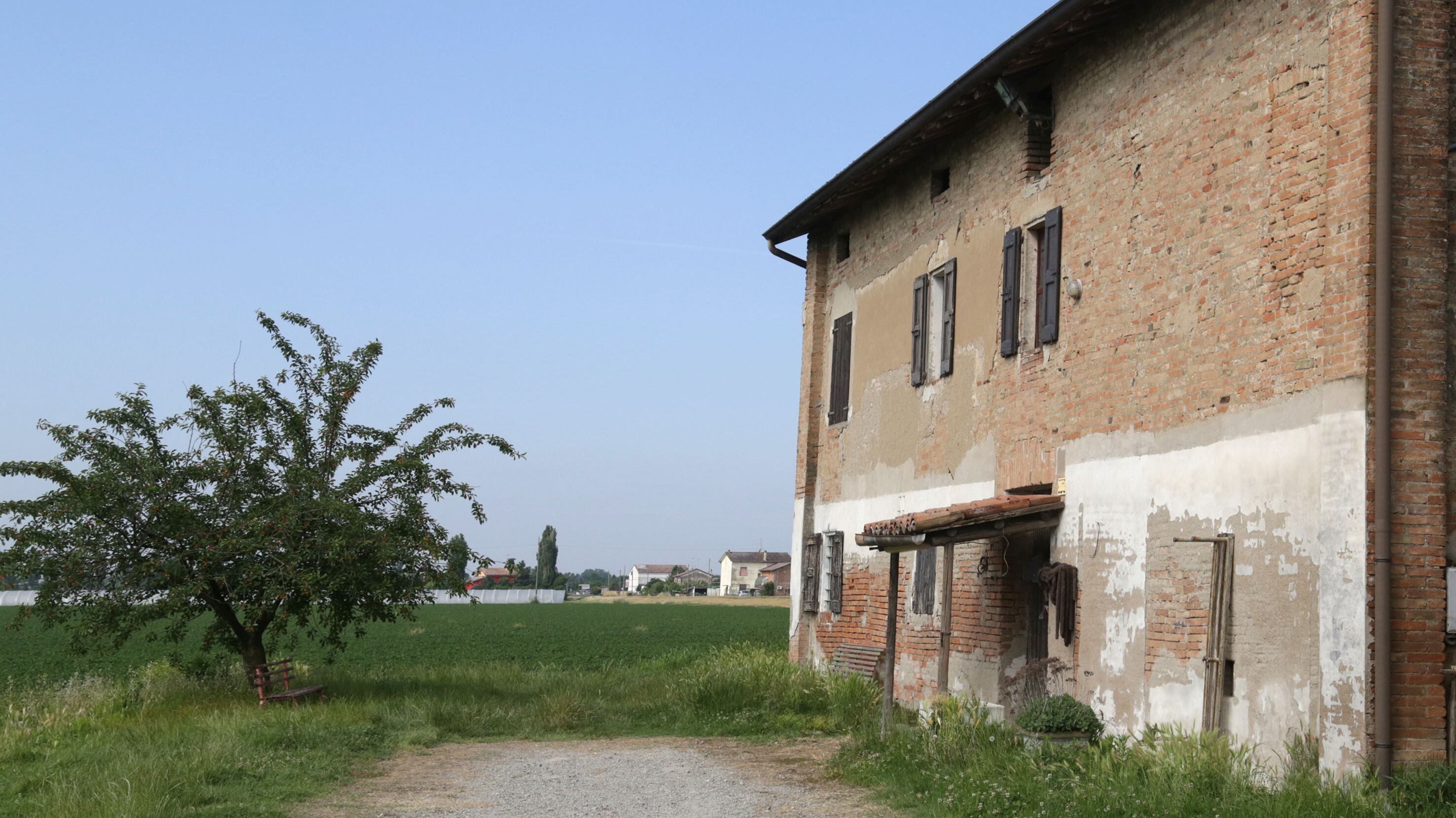 Le atrocità su Saman: "Fu prima strangolata e forse sepolta viva"