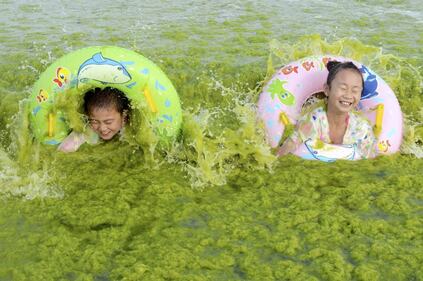 Reuters, le più belle foto dell'anno 5