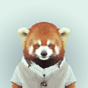 Avete mai visto animali vestiti da esseri umani? 2