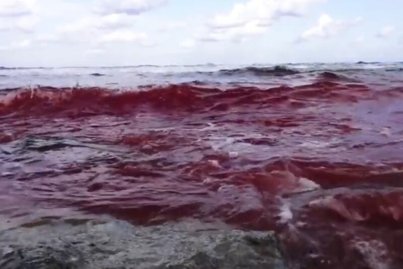 Mare rosso