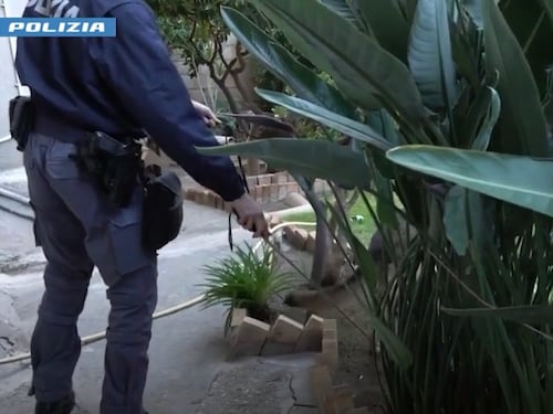 Orrore a Reggio Calabria, neonati trovati morti nell'armadio: arrestata la madre