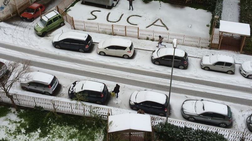 Palermo, la parola "suca" entra all'università