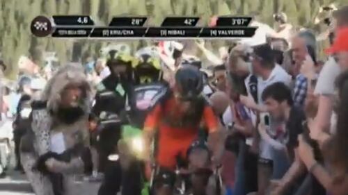 Tifoso vestito da leopardo investito al Giro d'Italia 1