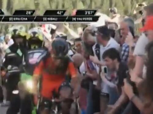 Tifoso vestito da leopardo investito al Giro d'Italia