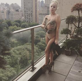 Lady Gaga, radici italiane in cucina 13