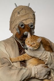 I personaggi di Star Wars per l'adozione degli animali 10