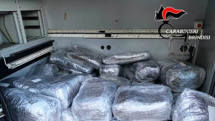 Due quintali di marijuana trovati in una palazzina abbandonata a Brindisi