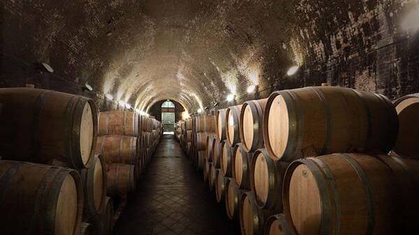 Spese pazze a Cambridge: 3 milioni di sterline in vini pregiati, mentre aumentano le rette