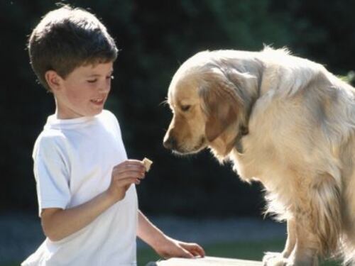 Usa, i cani fanno bene ai bambini