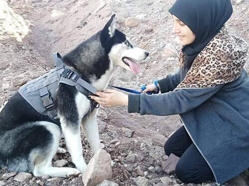 Afghanistan, uccidono il suo husky mentre lo porta a passeggio: "Una donna non può avere un cane"