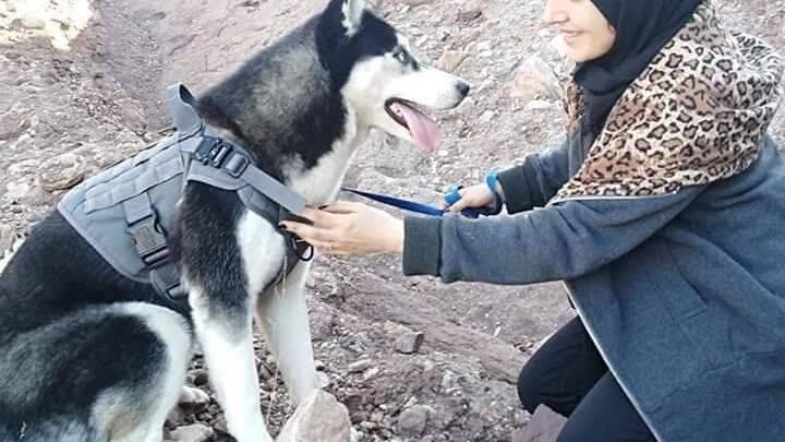 Afghanistan, uccidono il suo husky mentre lo porta a passeggio: "Una donna non può avere un cane"