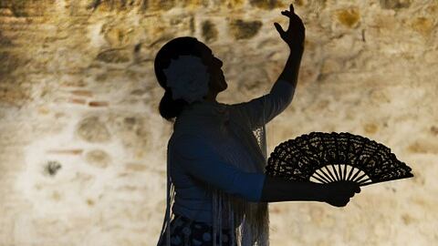 In via Farini l'isola degli aficionados: "Qui si impara l'antica arte andalusa"