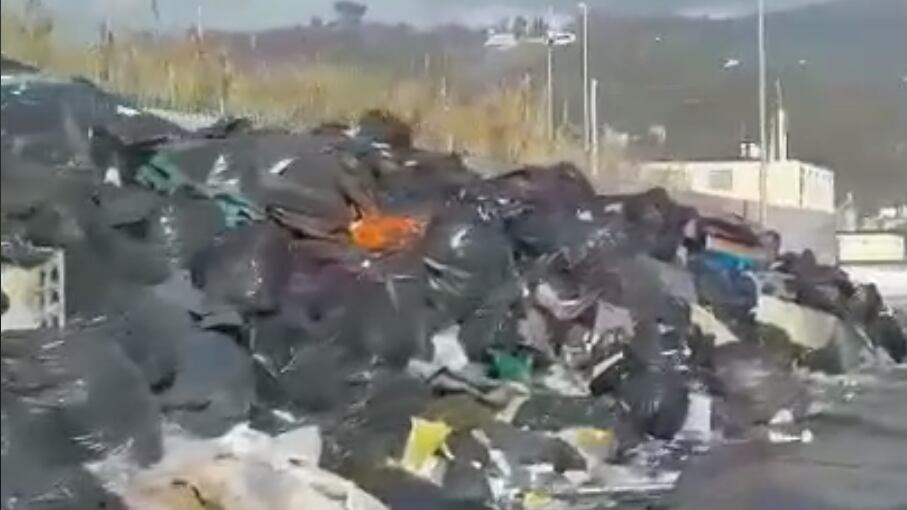 Il campo rom, i topi e quintali di rifiuti: lo "sgarbo" del Pd che divide Massa e Carrara