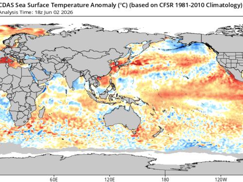 “Prepariamoci a un super El Nino”: l’avvertimento dell’Onu, quali saranno le conseguenze sul clima