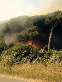 Incendio a Fiumicino: bloccatti i decolli 5