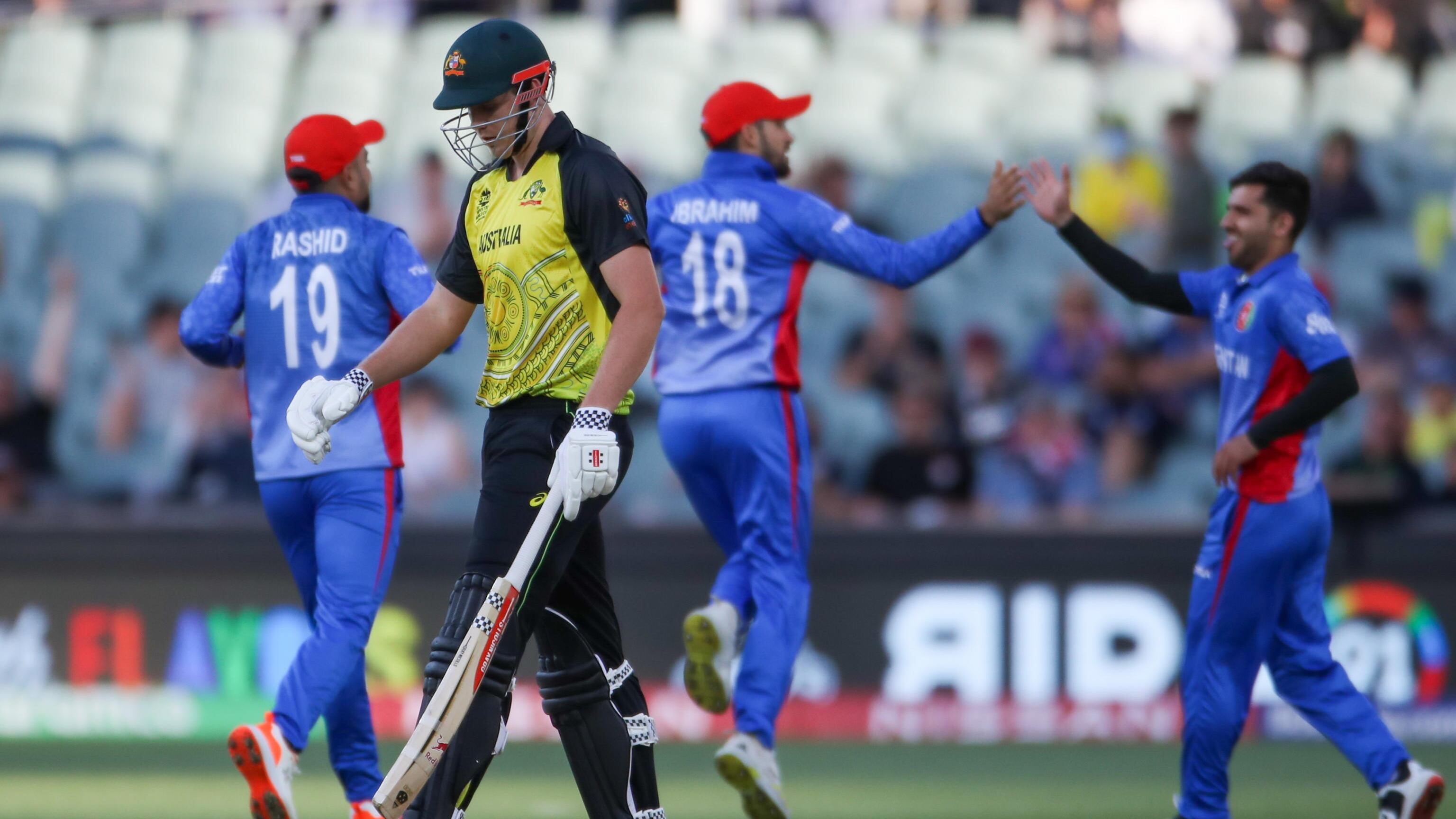 L'Australia dichiara la guerra del cricket ai Talebani