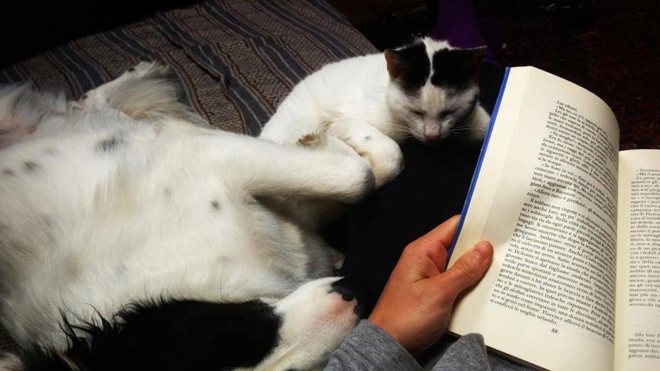 La vacanza è più piacevole con i libri "a quattro zampe"