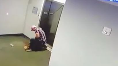 Il guinzaglio resta bloccato: cane rischia decapitazione