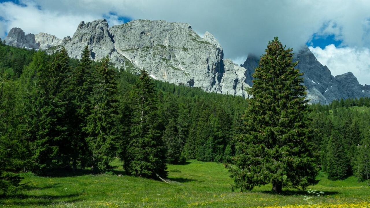 Alto Adige, viaggio tra vini e architettura
