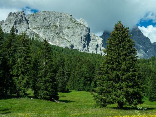 Alto Adige, viaggio tra vini e architettura