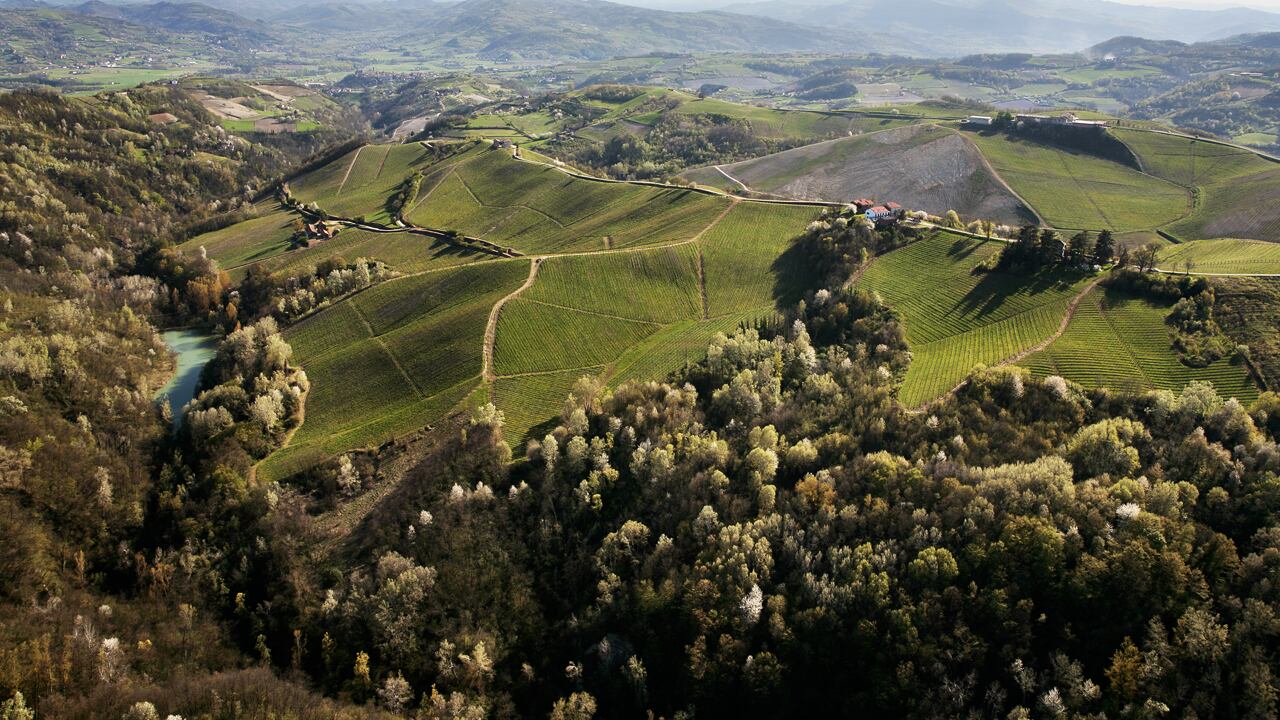ilGolosario fotografa il turismo del vino