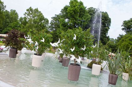 Orticola 2013, la mostra botanica 12