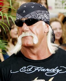 Addio ad Hulk Hogan 8