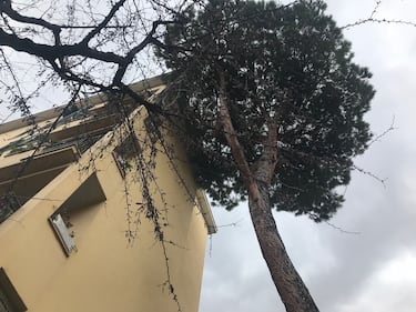 I danni alle palazzine Ater dopo il maltempo che si è abbattuto sulla Capitale 11