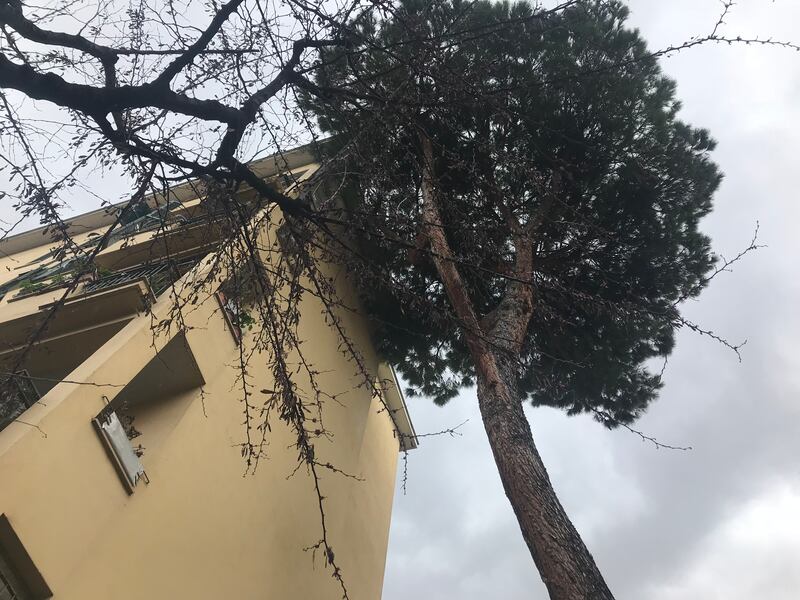 I danni alle palazzine Ater dopo il maltempo che si è abbattuto sulla Capitale 11