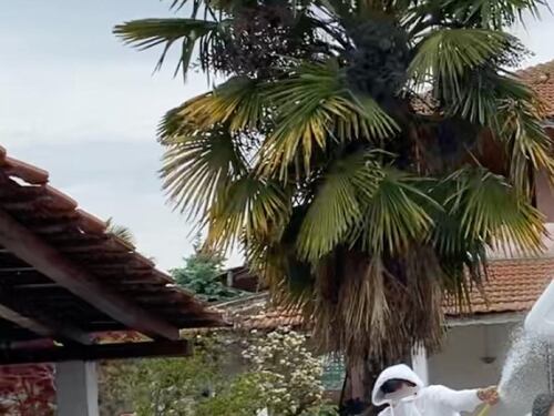 Aggressione al campo rom di Monte Bisbino a Milano