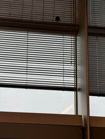 Pipistrello nella sala lounge dell'aeroporto 3