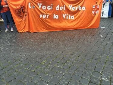 Cattolici in marcia per la vita 24