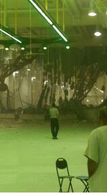 Le prime foto della tragedia 1