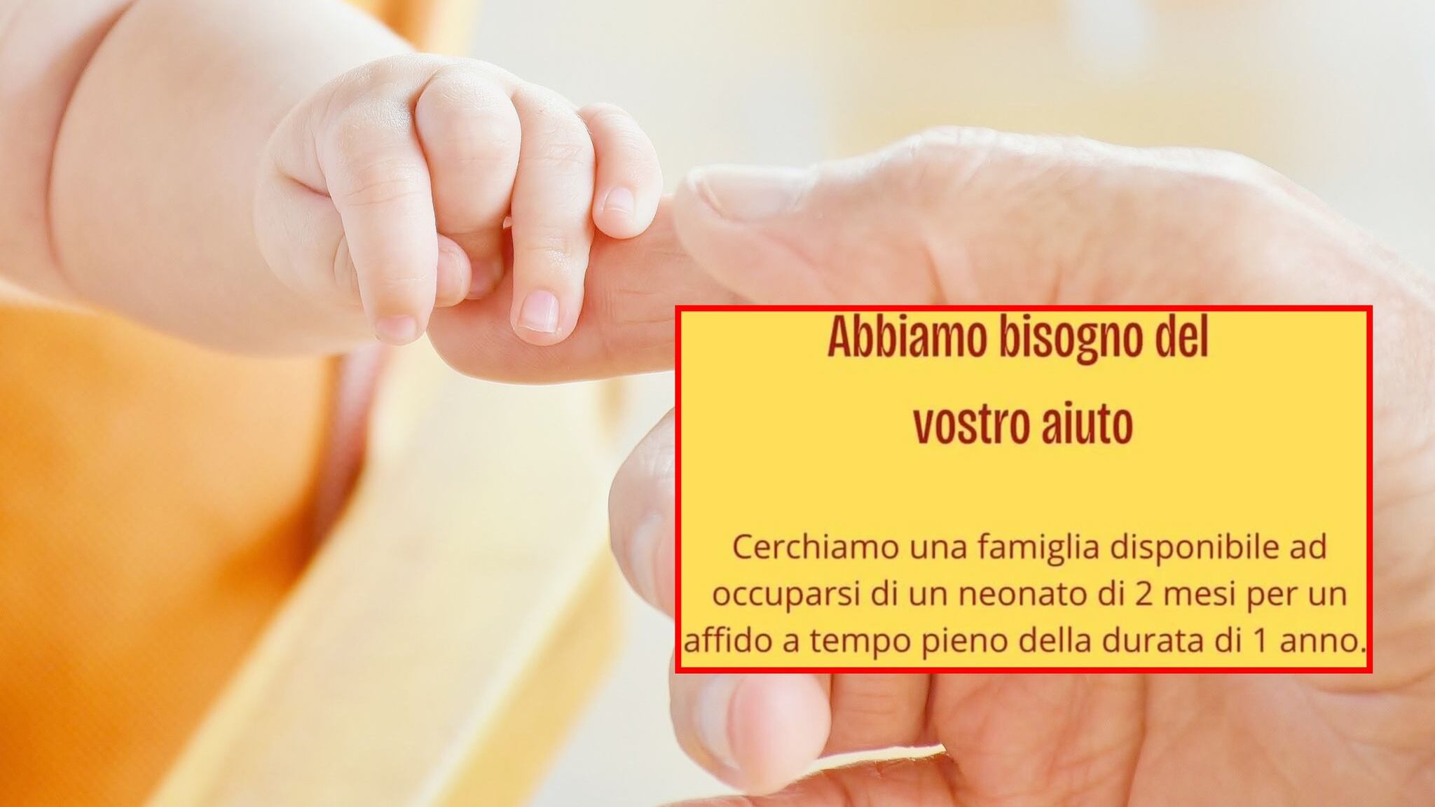 "Cerchiamo una famiglia per il neonato". L'annuncio choc sui social per l'affido