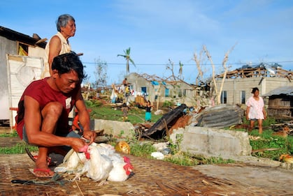 La devastazione di Haiyan 4
