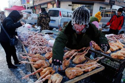 Sopravvivere al freddo invernale, in Cina 2