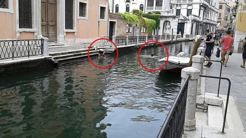Turismo e degrado a Venezia 6