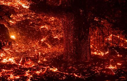 Inferno di fuoco in California 2