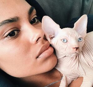 Tina Kunakey, sexy compagna di Vincent Cassel 5