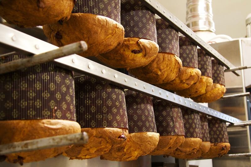 Panettoni