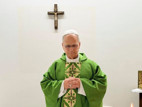 Leone, prima foto dopo l’intervento. Smentite le voci di addio