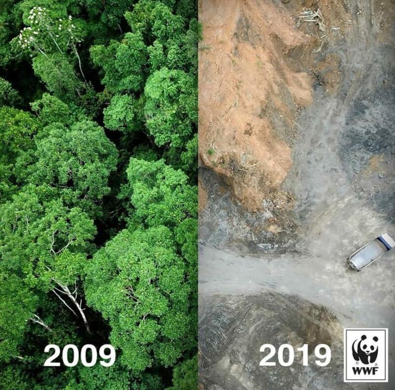 La # 10yearschallenge del Pianeta: ecco com'è cambiato in 10 anni 2