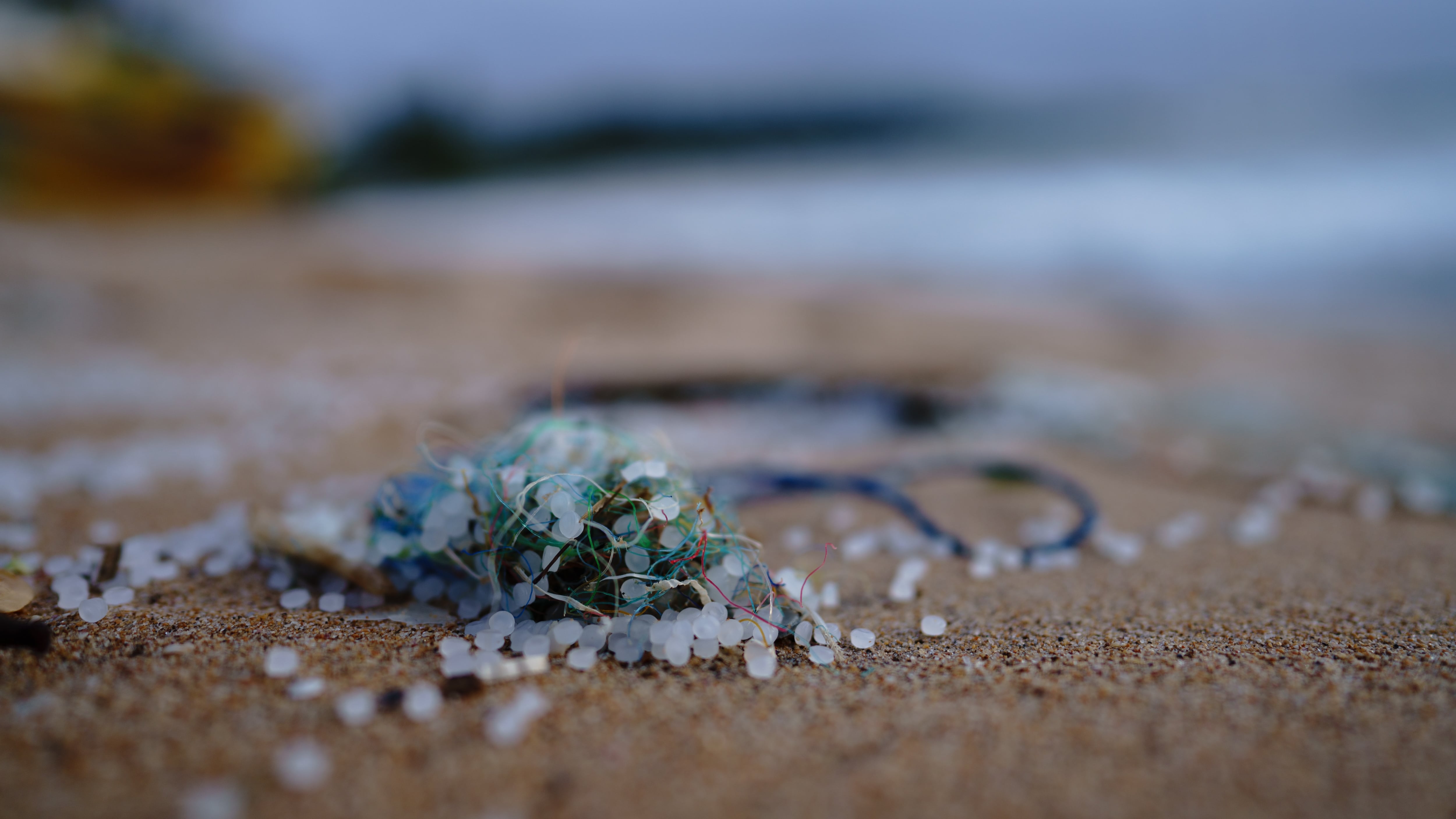 Allerta per le microplastiche disperse in mare: sono colonie di batteri