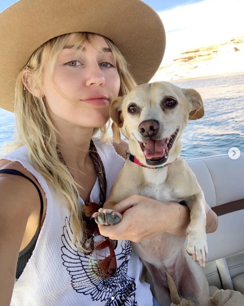 Miley Cyrus, le foto della cantante 5