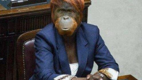 La Kyenge vuole che il leghista le faccia da giardinere