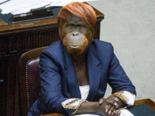 Fotomontaggio della Kyenge, per i giudici non è satira