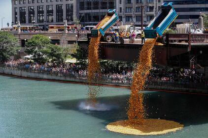 Chicago, un mare di anatre di gomma invadono il fiume 4
