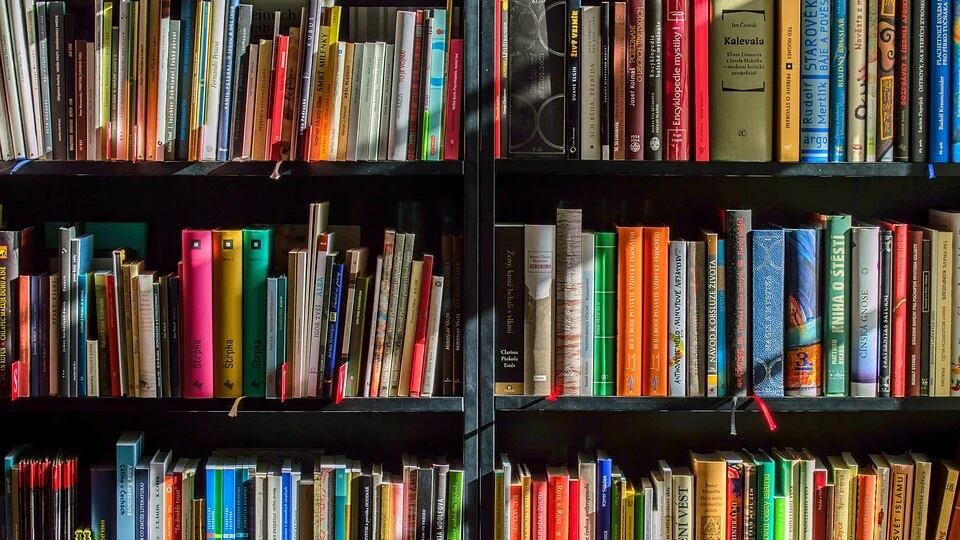 Efficiente, asettica, respingente. Ecco la libreria di Amazon