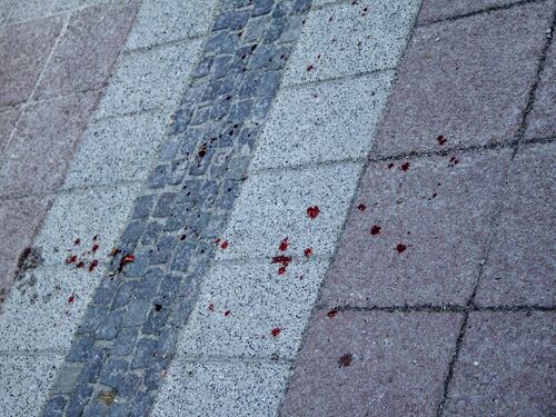 Giallo a Zandobbio: dipendente comunale trovata morta in ufficio